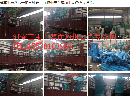 長葛牛總八臺一組日處理十五噸小麥石磨加工面粉機設備今天發(fā)貨